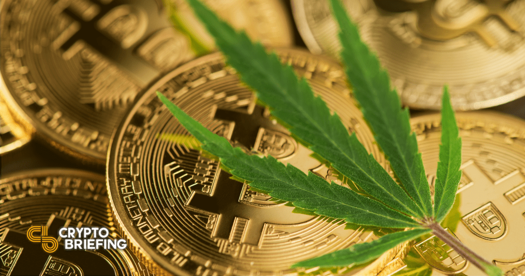 German Cannabis Firm Cites Cash Inflation as Reason for BTC Investment