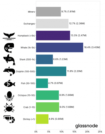 Estimated distribution of Bitcoin supply through individuals. Data from Glassnode.