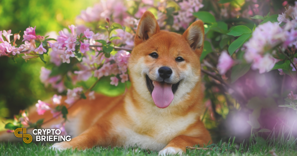 Dogecoin Dev Passes Away, Leaving Seven Year Legacy
