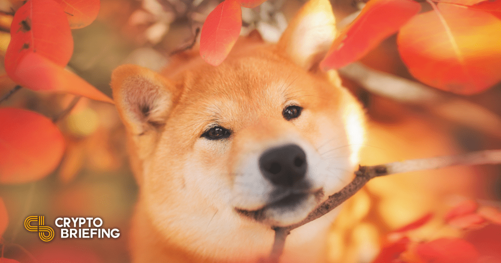 American Cancer Society Accepts Dogecoin Donations