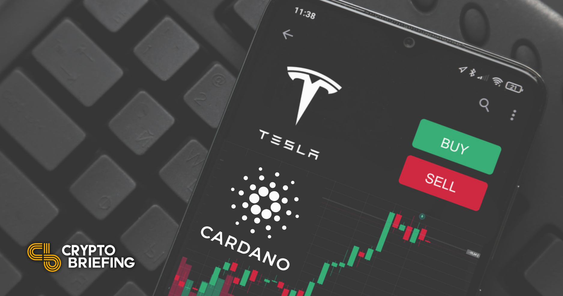 Cardano Courts Tesla As Ada Hits An All Time High Crypto Briefing