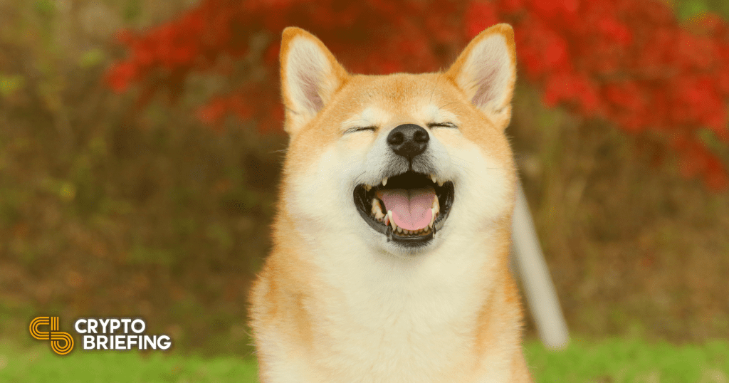 Dogecoin Soars 31.7% as Elon Musk Hints at “Efficiency” Improvements