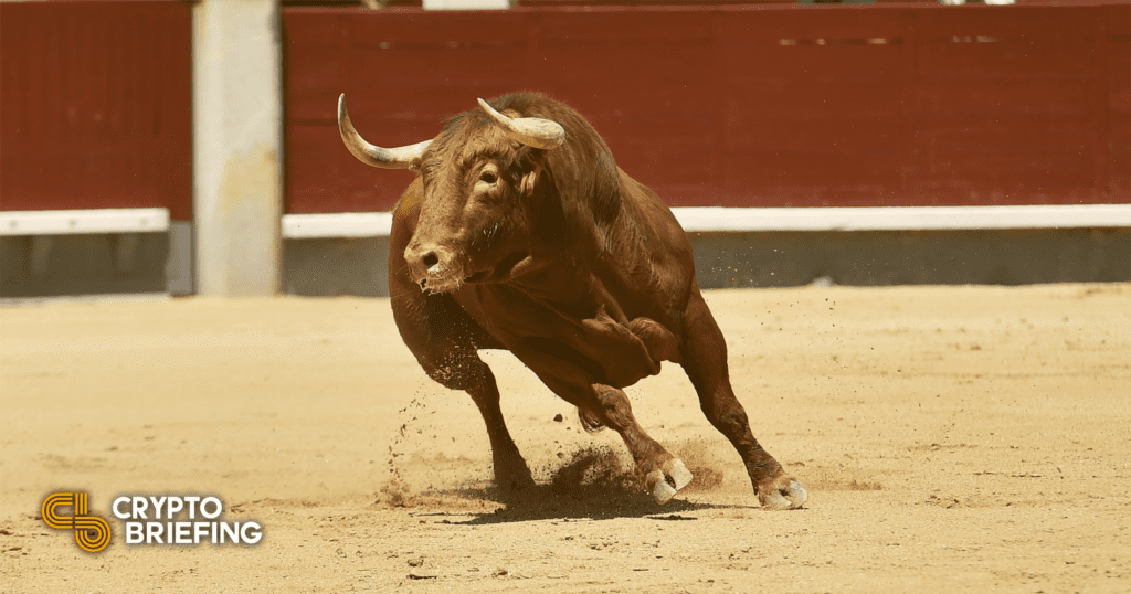 Crypto Bull Market 