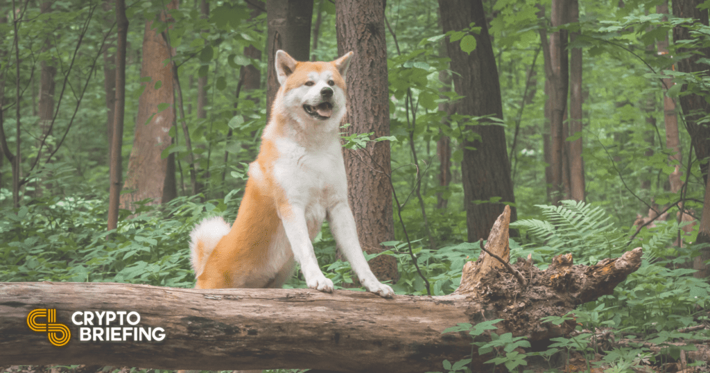 Gitcoin Submits To Akita Inu Threats Over Donated Coins