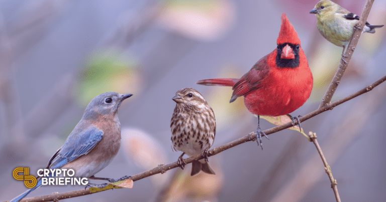 songbird canary network