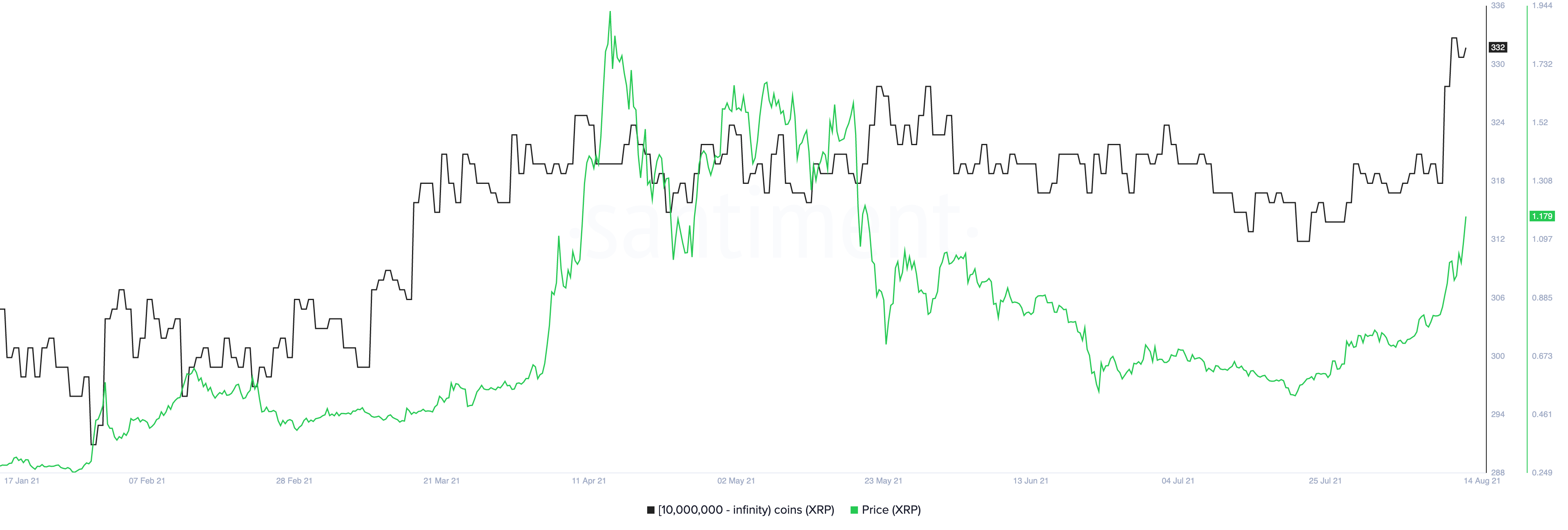 XRP whales 