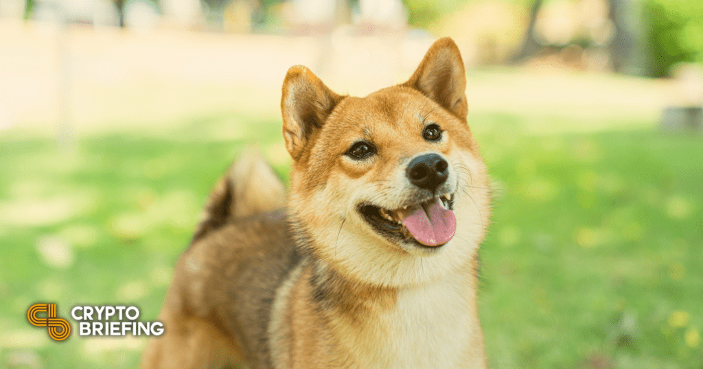 Feisty Doge Becomes Most Valuable NFT Ever
