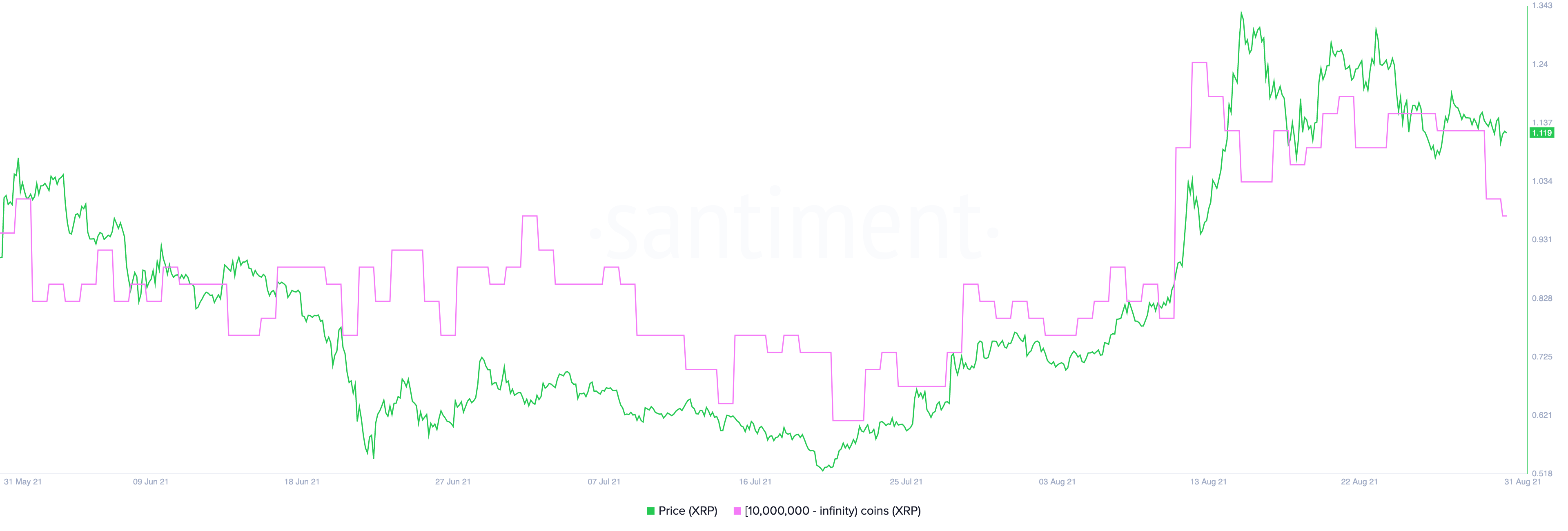 Distribution de l'approvisionnement XRP