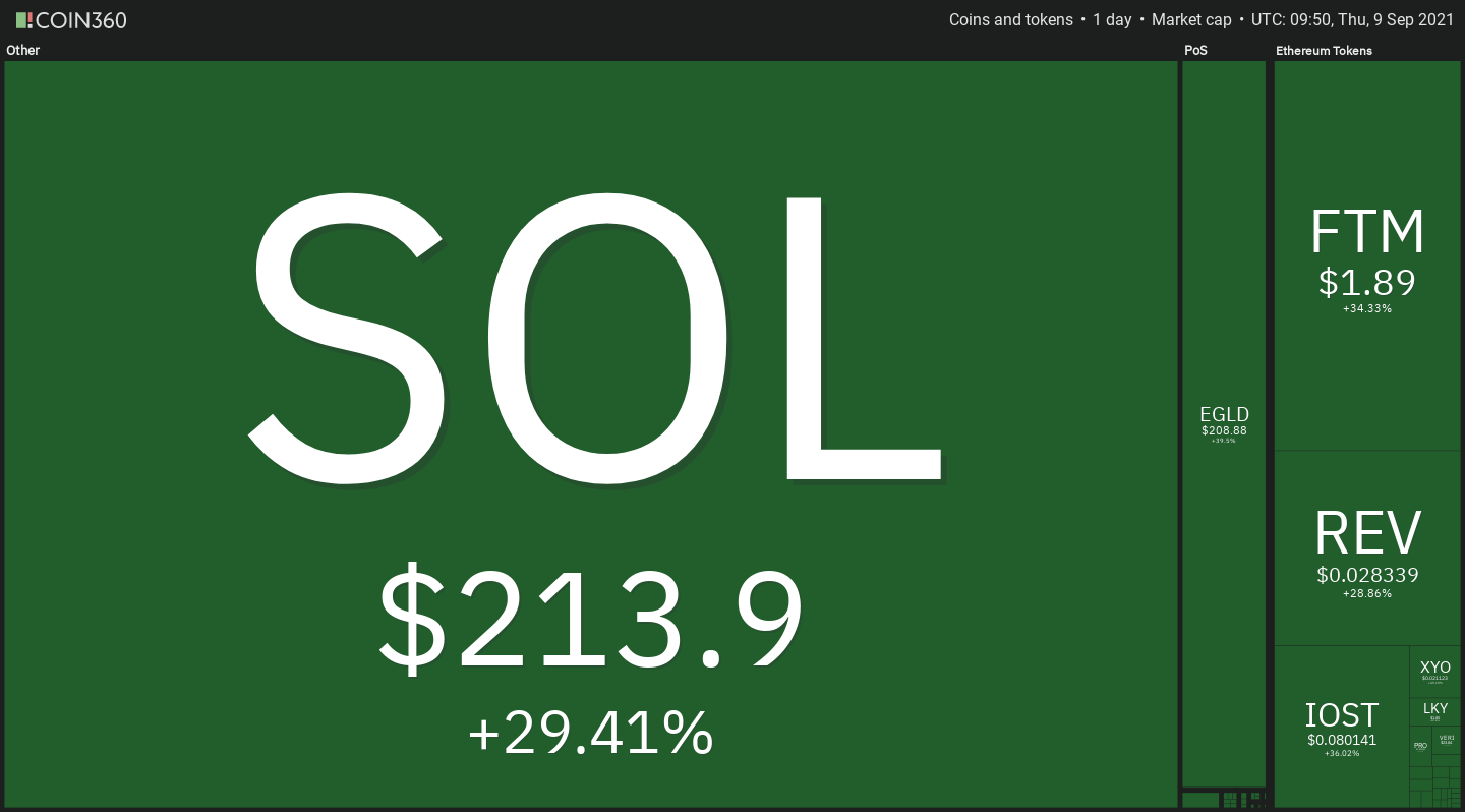 Crypto Market Heatmap