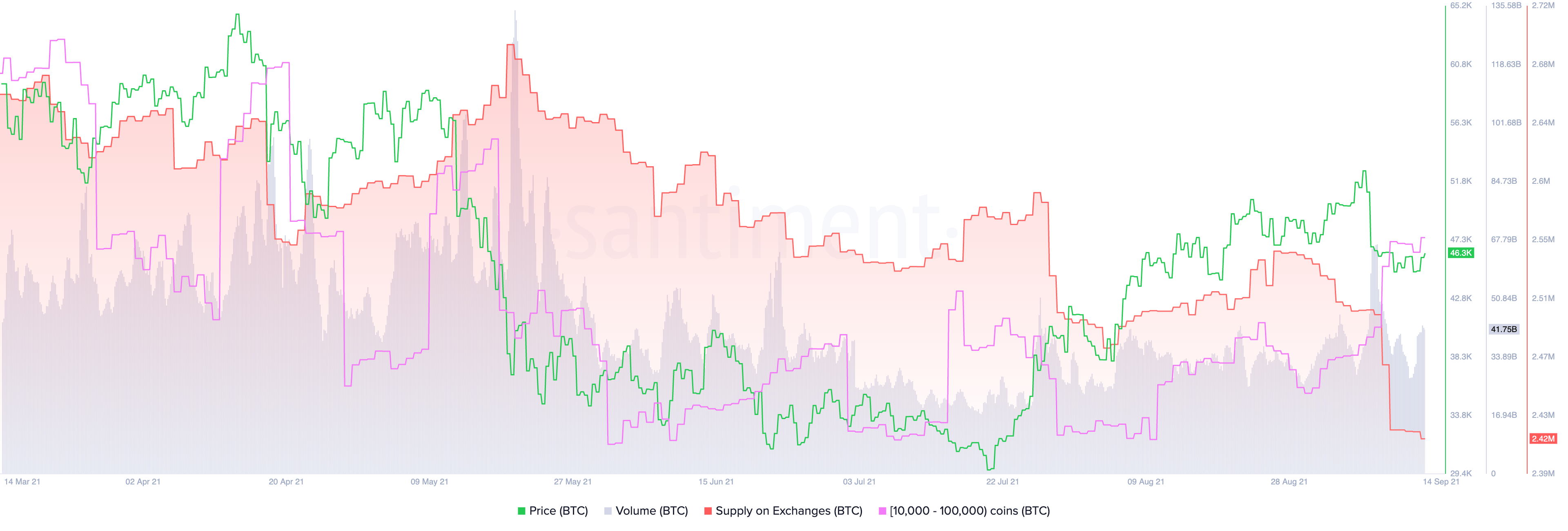 Activité sur la chaîne Bitcoin