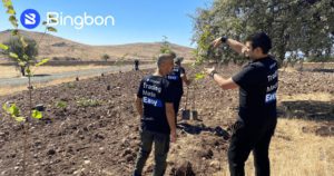 Bingbon Launches its Carbon-Free & Afforestation Project to Help ...