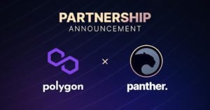 Panther and Polygon are Taking Privacy to New Heights in DeFi