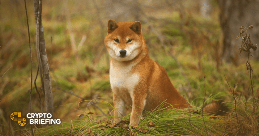 Dogecoin  latest dogecoin news Two On-Chain Metrics to Time Dogecoin’s Next Move thumbnail