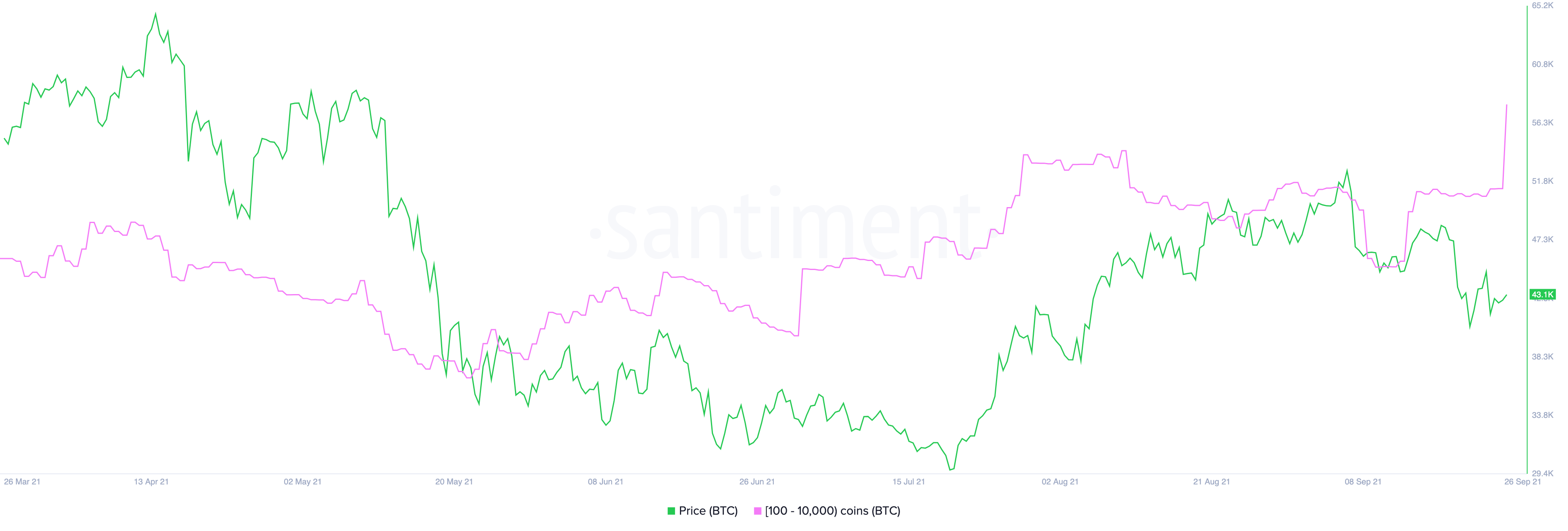 Distribution de l'approvisionnement Bitcoin