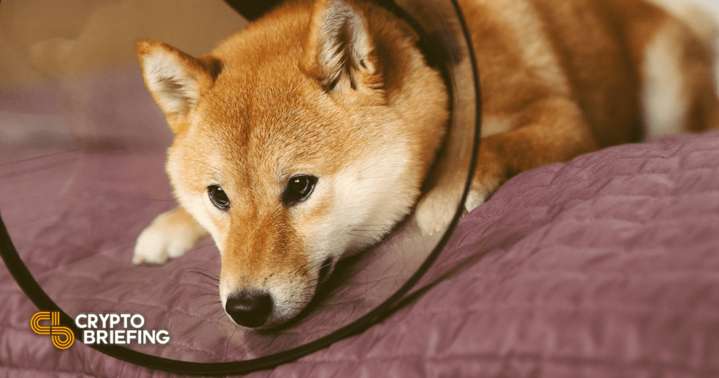 Dogecoin, Shiba Inu at Risk of Steep Correction