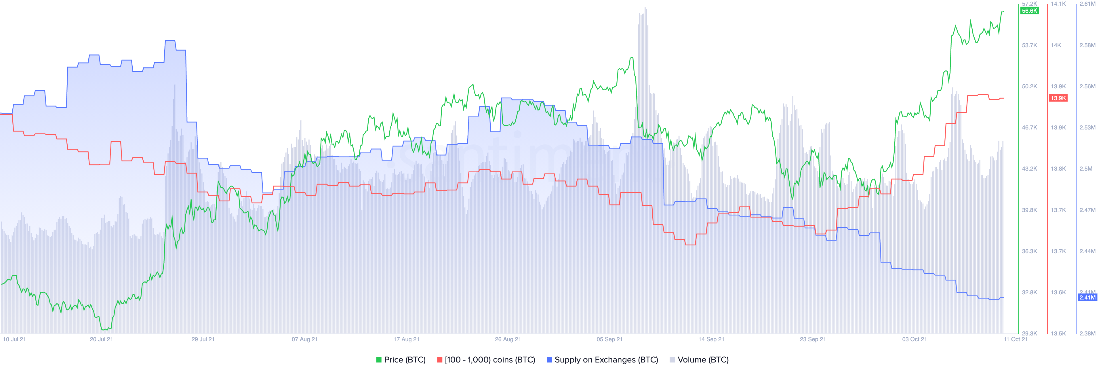 Bitcoin Network Activity