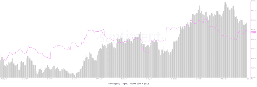 Bitcoin On-Chain Activity