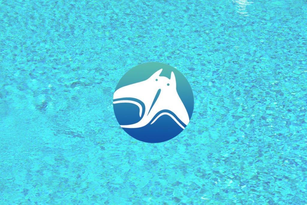 Manta Network Community Gains Access to New Features with Dolphin Testnet Roll Out