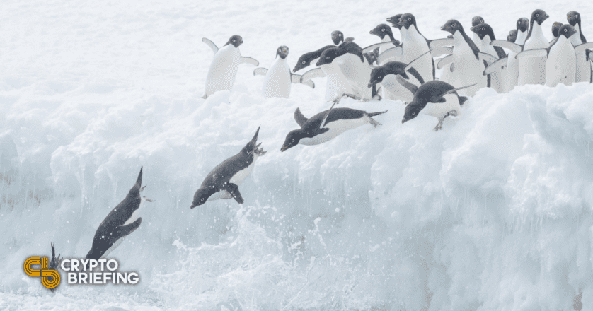 Penguins Are Huddling on Ethereum Amid Cries of Scam thumbnail