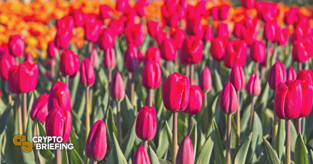 Indian Central Bank Chief Likens Crypto to Tulips