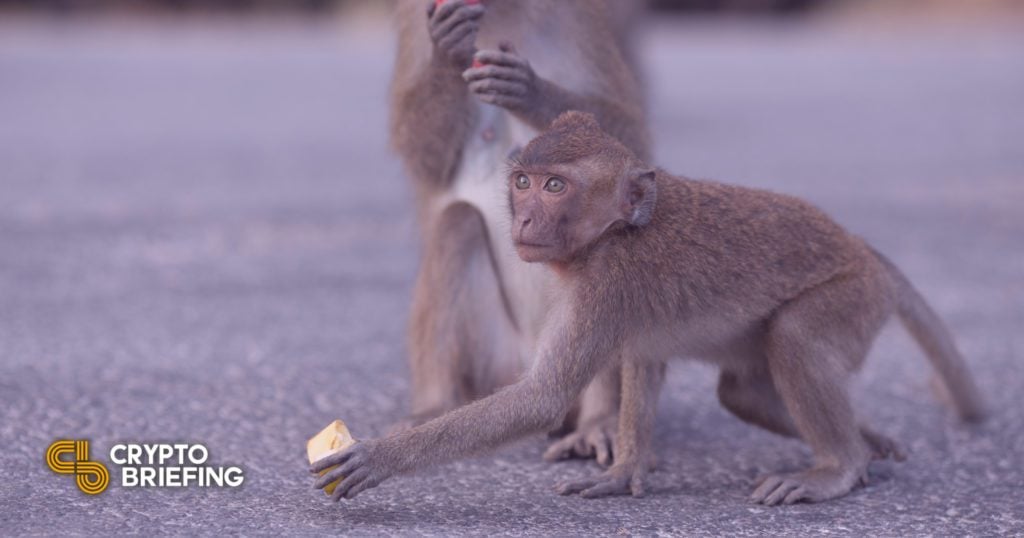 Hackers Steal NFT Monkeys on Top Ethereum Layer 2