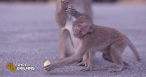 Hackers Steal NFT Monkeys on Top Ethereum Layer 2