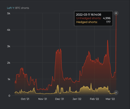 Bitcoin Short Positions