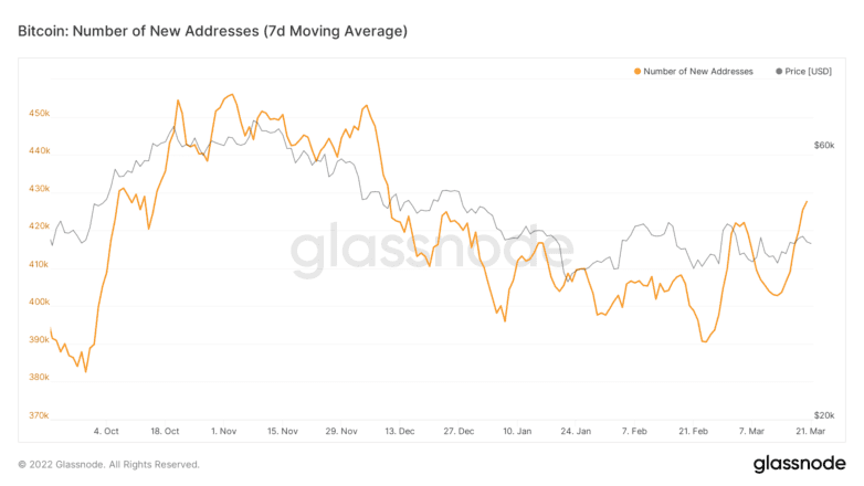 Bitcoin Network Growth