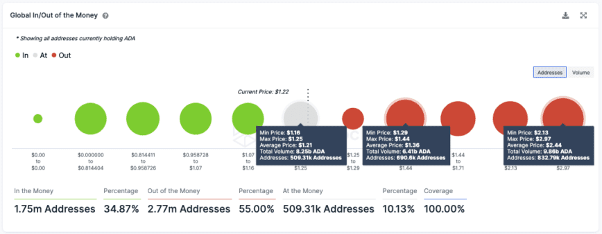 Cardano Network Activity 