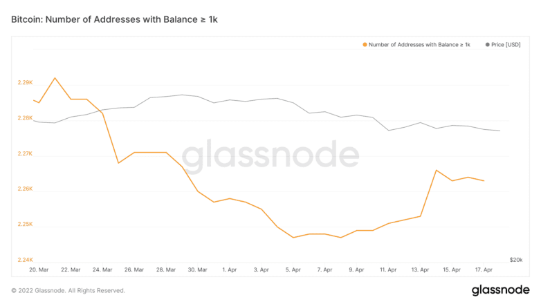 Баланс биткойн-китов