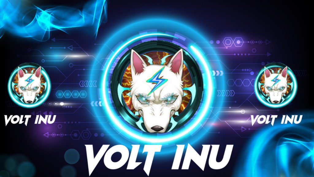 Volt Inu Announces Exciting Developments for Its Project
