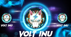 Volt Inu Announces Exciting Developments for Its Project