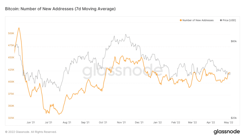 Bitcoin Network Activity