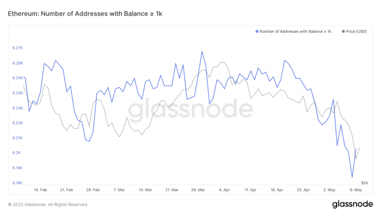 Ethereum holder distribution