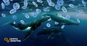Top Terra Whales Break Silence on Network’s Collapse