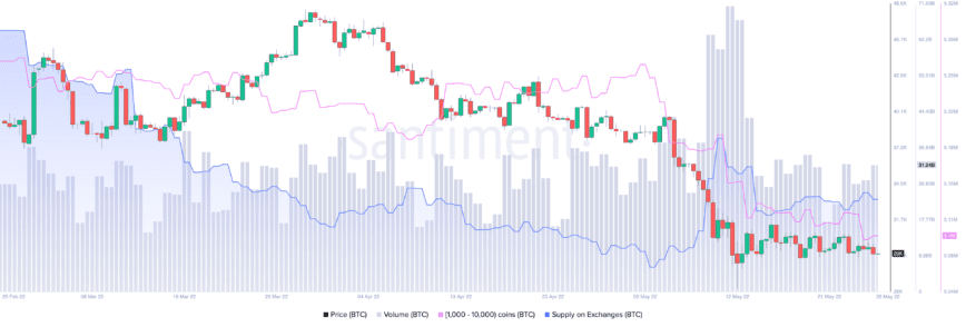 Gweithgaredd Bitcoin onchain