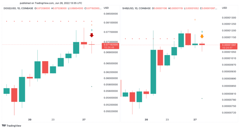 Biểu đồ giá Dogecoin và Shiba Inu