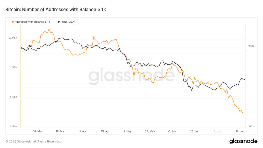 Bitcoin Routing Numbers The Problem With the Latest Bitcoin Price Rally