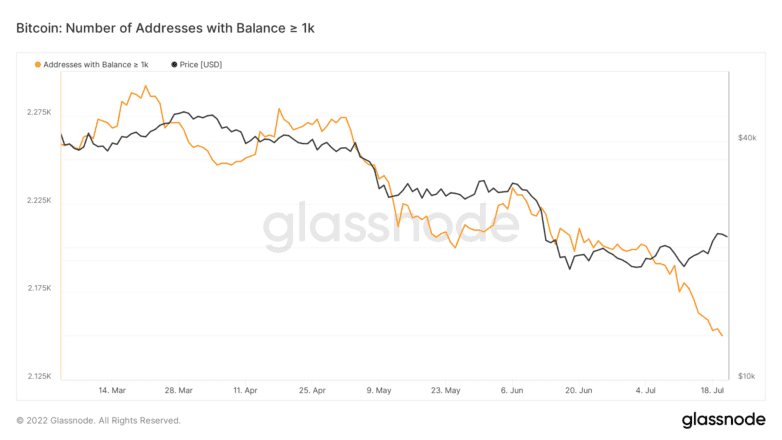 Bitcoin whales