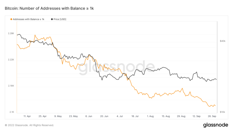 Bitcoin supply distribution