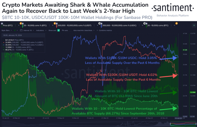 Bitcoin, USDC, and USDT whale numbers have fallen in the past six months