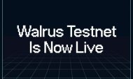 Walrus launches public testnet