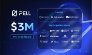 Pell Network secures M funding to build omnichain DVS network