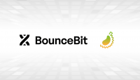 BounceBit backs first ecosystem project: durian.win