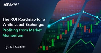 The ROI roadmap for a white label exchange: profiting from market momentum