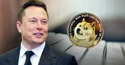 Elon Musk defends Dogecoin's inflationary model