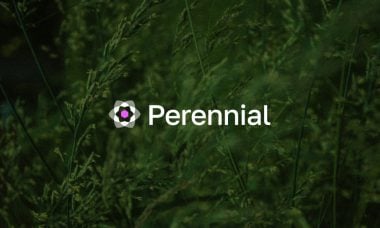 Perennial unveils a novel intent layer for perpetuals - solving DeFi’s fragmented liquidity problem