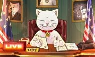 Shiro Neko achieves  billion market cap on day one