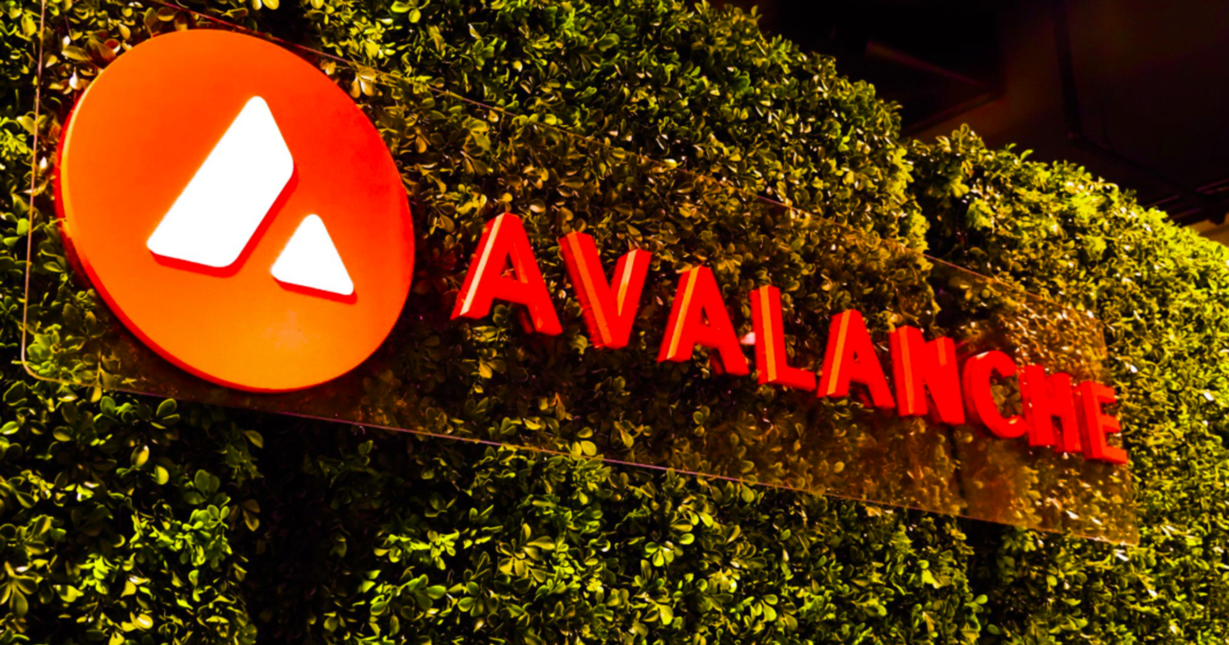 Avalanche secures $250M in funding round led by Galaxy Digital, Dragonfly,  and ParaFi Capital