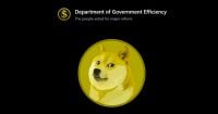 Dogecoin soars 14% as Musk's DOGE drops official website featuring its logo